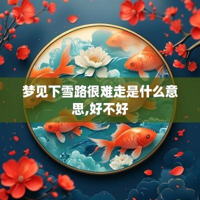 梦见下雪路很难走是什么意思,好不好