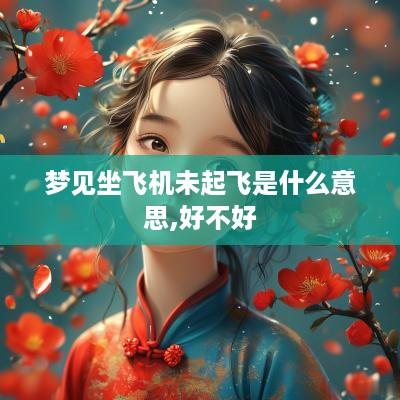 梦见坐飞机未起飞是什么意思,好不好