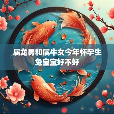 属龙男和属牛女今年怀孕生兔宝宝好不好