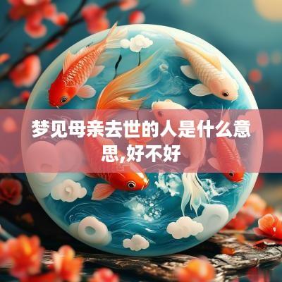 梦见母亲去世的人是什么意思,好不好