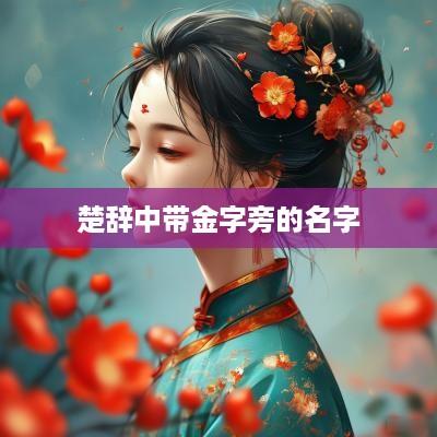 楚辞中带金字旁的名字