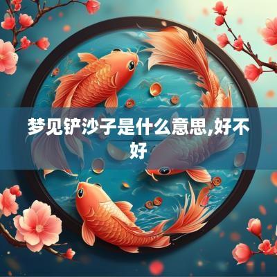 梦见铲沙子是什么意思,好不好