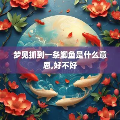 梦见抓到一条鲫鱼是什么意思,好不好