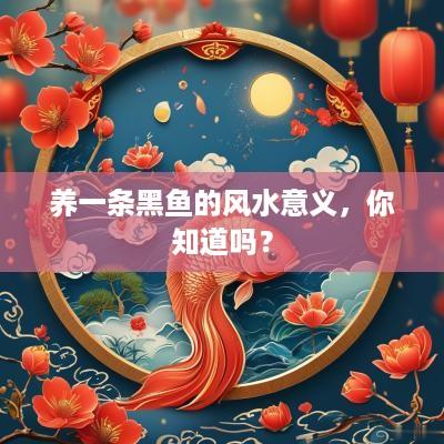 养一条黑鱼的风水意义，你知道吗？