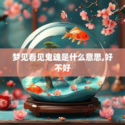 梦见看见鬼魂是什么意思,好不好