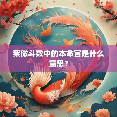 紫微斗数中的本命宫是什么意思？