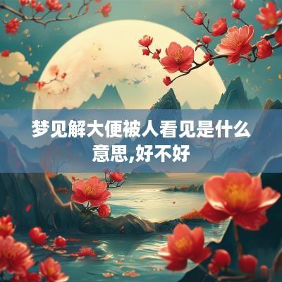 梦见解大便被人看见是什么意思,好不好