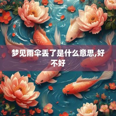 梦见雨伞丢了是什么意思,好不好
