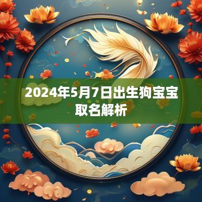 2025年5月7日出生狗宝宝取名解析