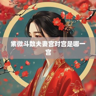紫微斗数夫妻宫对宫是哪一宫