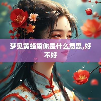 梦见黄蜂蜇你是什么意思,好不好