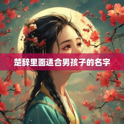 楚辞里面适合男孩子的名字