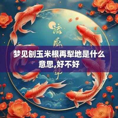 梦见刨玉米根再犁地是什么意思,好不好