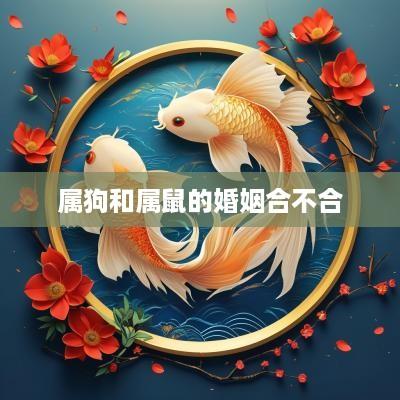 属狗和属鼠的婚姻合不合