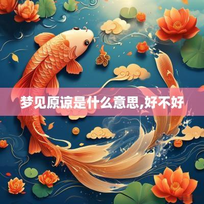 梦见原谅是什么意思,好不好
