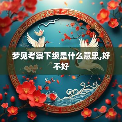 梦见考察下级是什么意思,好不好