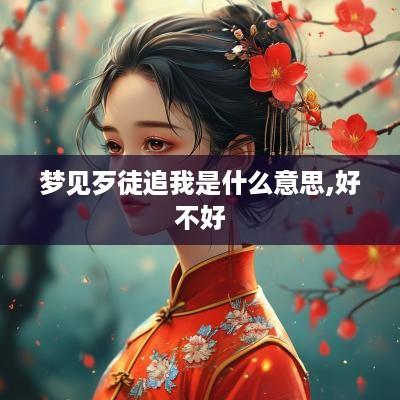 梦见歹徒追我是什么意思,好不好