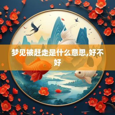 梦见被赶走是什么意思,好不好