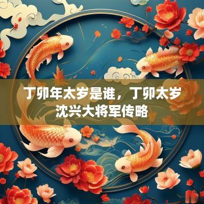 丁卯年太岁是谁，丁卯太岁沈兴大将军传略