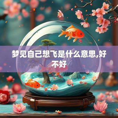 梦见自己想飞是什么意思,好不好
