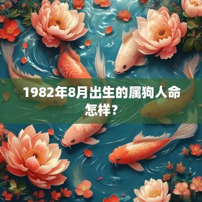 1982年8月出生的属狗人命怎样？