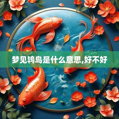 梦见鸨鸟是什么意思,好不好