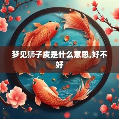 梦见狮子皮是什么意思,好不好