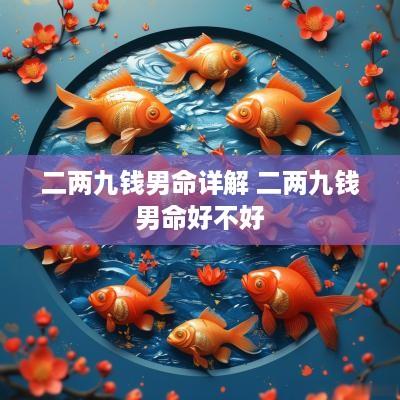 二两九钱男命详解 二两九钱男命好不好