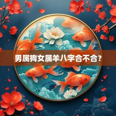 男属狗女属羊八字合不合？