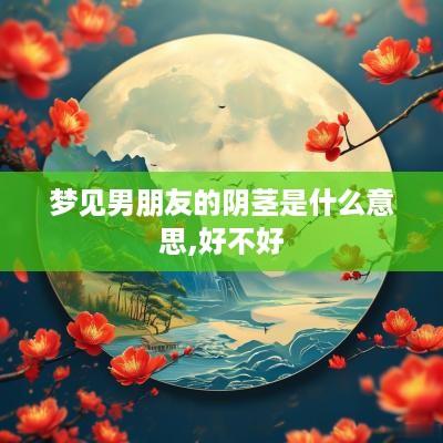 梦见男朋友的阴茎是什么意思,好不好