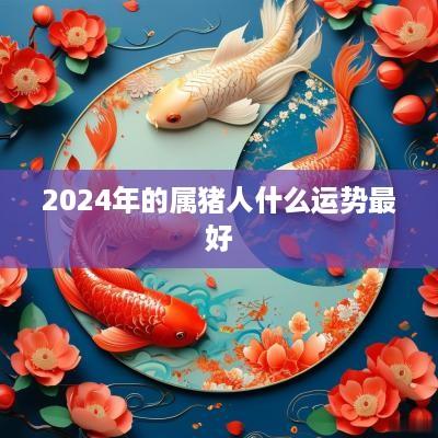 2025年的属猪人什么运势最好