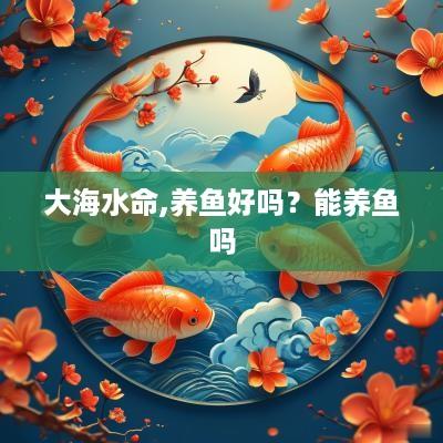 大海水命,养鱼好吗？能养鱼吗