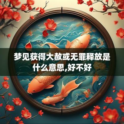梦见获得大赦或无罪释放是什么意思,好不好