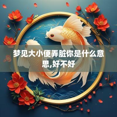 梦见大小便弄脏你是什么意思,好不好