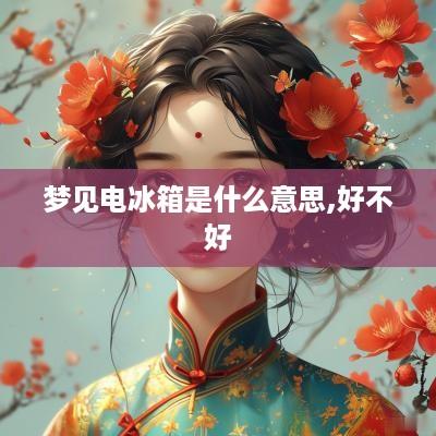 梦见电冰箱是什么意思,好不好