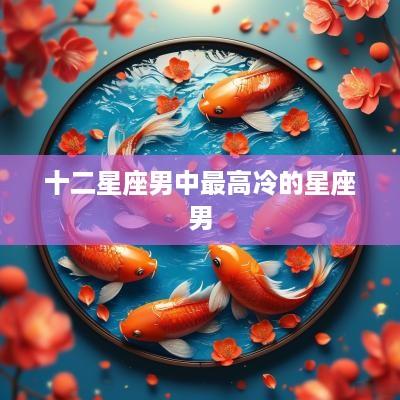 十二星座男中最高冷的星座男