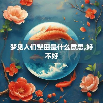 梦见人们犁田是什么意思,好不好