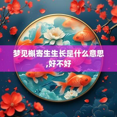 梦见槲寄生生长是什么意思,好不好