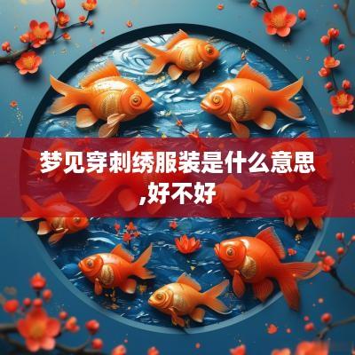 梦见穿刺绣服装是什么意思,好不好