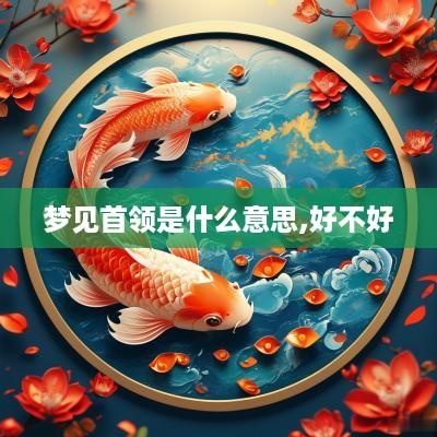 梦见首领是什么意思,好不好