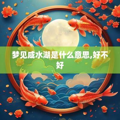 梦见咸水湖是什么意思,好不好