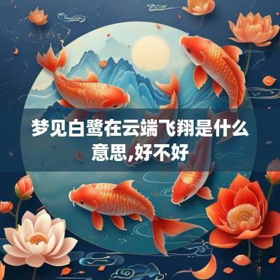 梦见白鹭在云端飞翔是什么意思,好不好