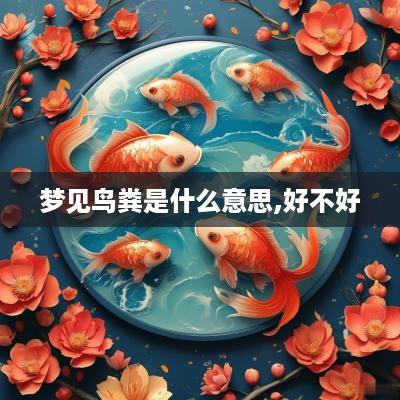 梦见鸟粪是什么意思,好不好