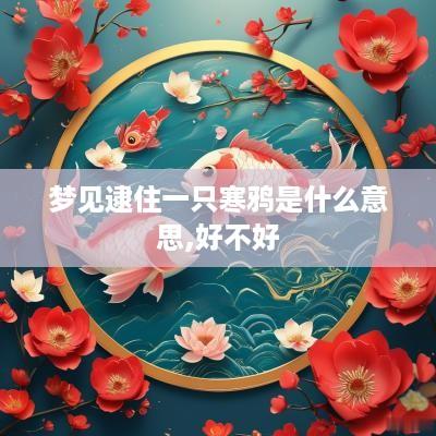 梦见逮住一只寒鸦是什么意思,好不好