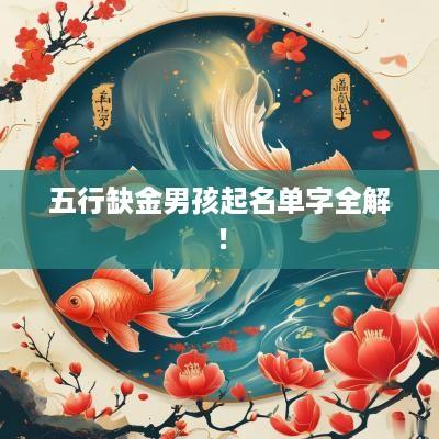 五行缺金男孩起名单字全解！