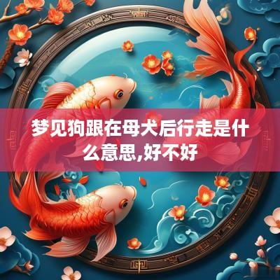 梦见狗跟在母犬后行走是什么意思,好不好