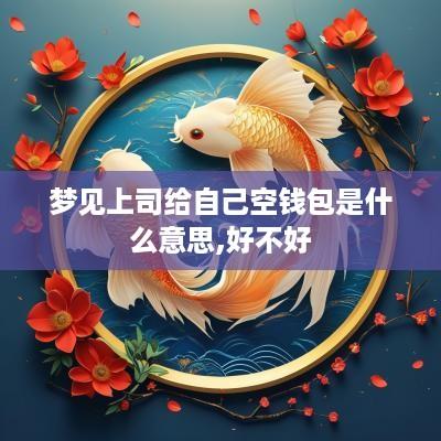 梦见上司给自己空钱包是什么意思,好不好