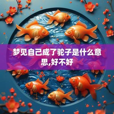 梦见自己成了驼子是什么意思,好不好