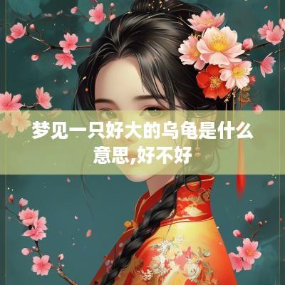 梦见一只好大的乌龟是什么意思,好不好