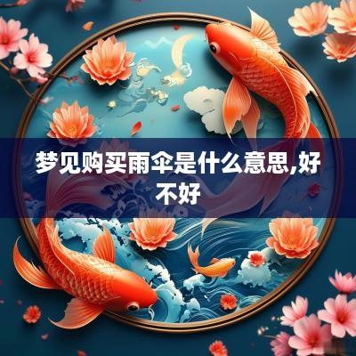 梦见购买雨伞是什么意思,好不好